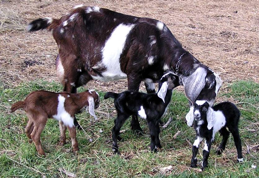 Glory and her kids, 04/07/10